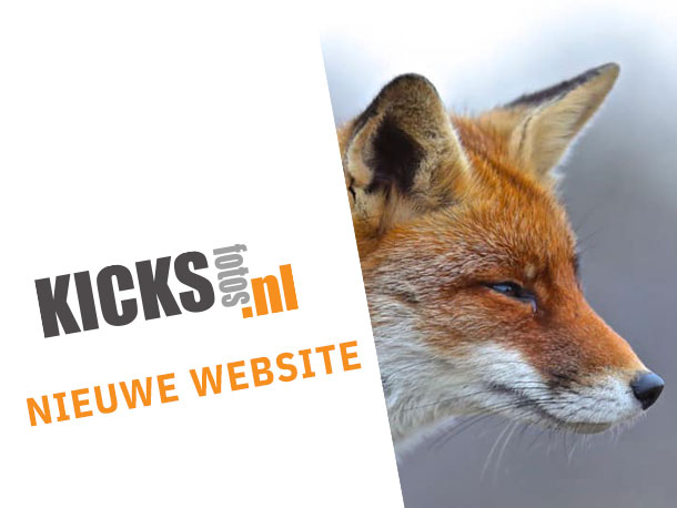 Websdesign WordPress - Woocommerce webshop - Kicksfotos.nl